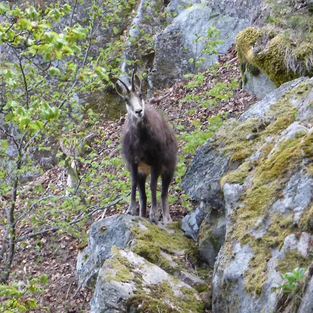 Restaurant Du Stosswihr