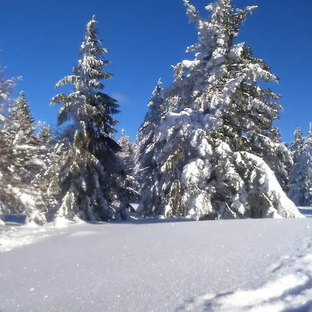 ホテル Restaurant Du