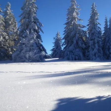 Restaurant Du ホテル Stosswihr