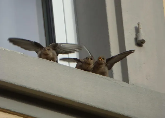 Restaurant Du Hotel Stosswihr