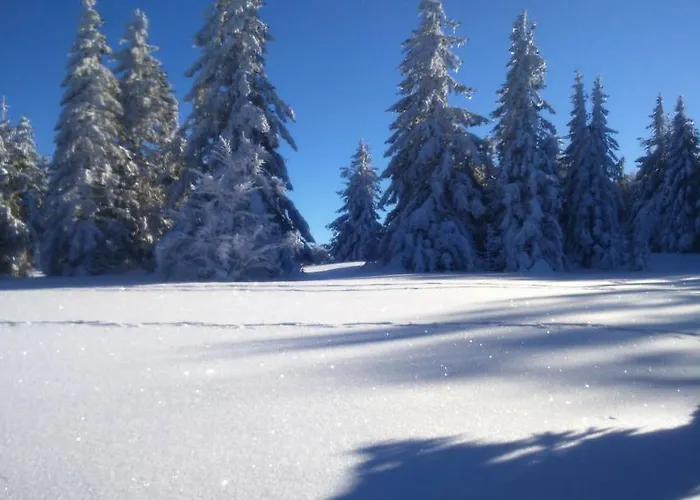 Restaurant Du Hotel Stosswihr
