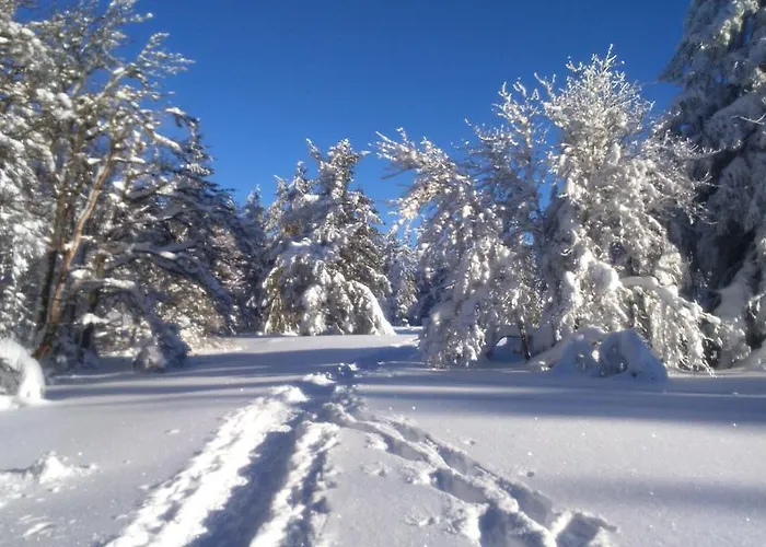 Restaurant Du Stosswihr